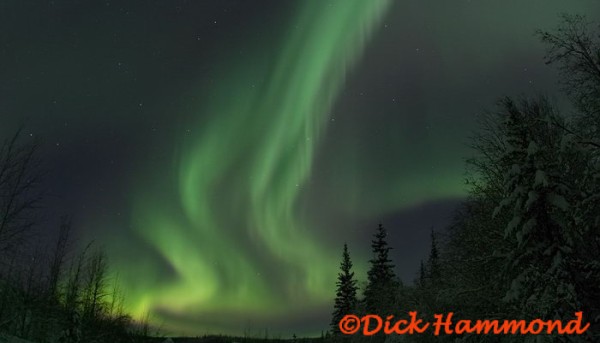 Click for the original image