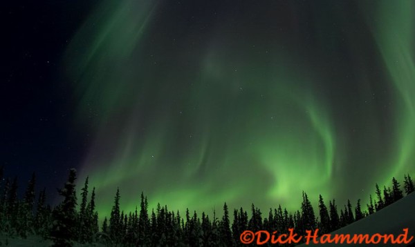 Click for the original image